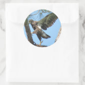Stickers Young Eagle yoga stretch (Sac)