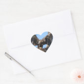 Stickers Young Florida Bald Eagle (Enveloppe)