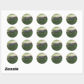 Stickers Zebra (Feuille)