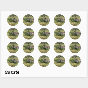 Stickers Zebra