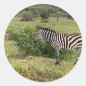 Stickers Zebra (Devant)