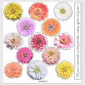 Stickers - Zinnias Collectie (Vel)
