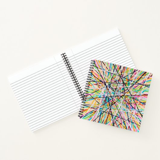 Sticks de ramassage 2 Carnets (Intérieur)