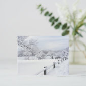 Sticky Snow 7 ~ carte postale (Debout devant)