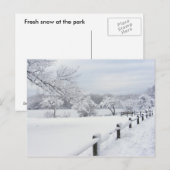 Sticky Snow 7 ~ carte postale (Devant / Derrière)