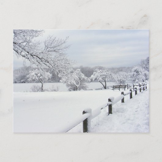 Sticky Snow 7 ~ carte postale (Devant)