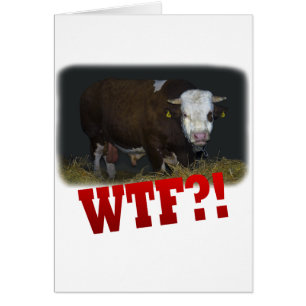 stier