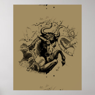 Stier Constellatie Hevelius 1690 Gravure Poster