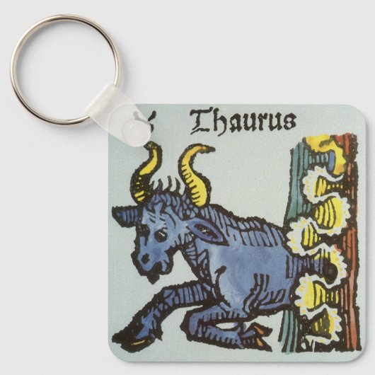 Stier de stier, tekenen van de dierenriem sleutelhanger (Voorkant)