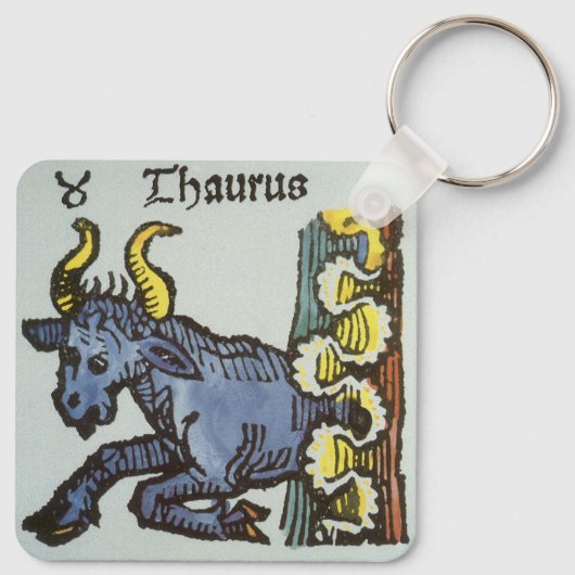 Stier de stier, tekenen van de dierenriem sleutelhanger (Achterkant)