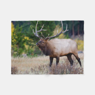 Stier & Espenbomen Rocky Mountain National Park Fleece Deken