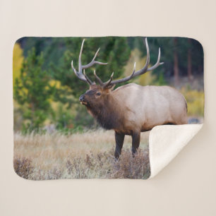 Stier & Espenbomen Rocky Mountain National Park Sherpa Deken