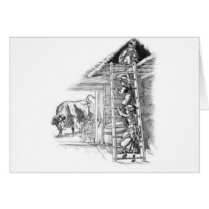 stier in Barn