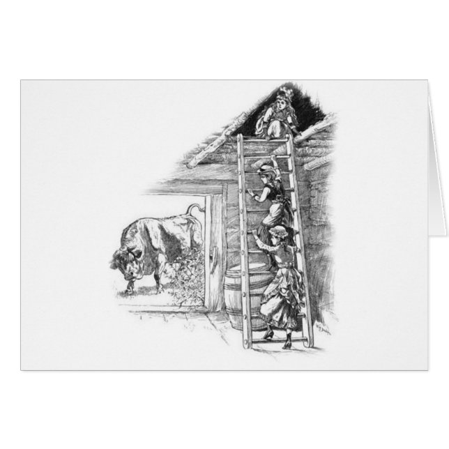  stier in Barn (Voorkant Horizontaal)