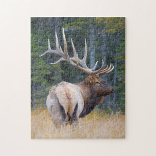 Stier Rocky Mountain Elk Legpuzzel
