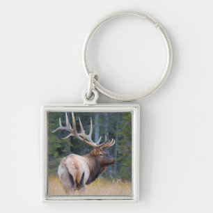 Stier Rocky Mountain Elk Sleutelhanger