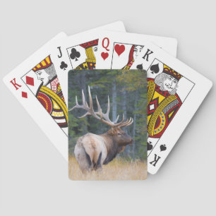 Stier Rocky Mountain Elk Speelkaarten