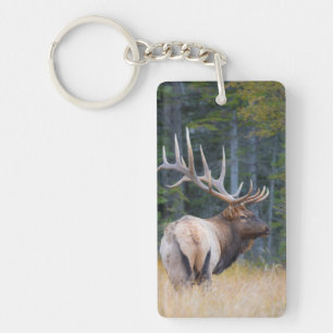Stier Rocky Mountain-wapiti Sleutelhanger