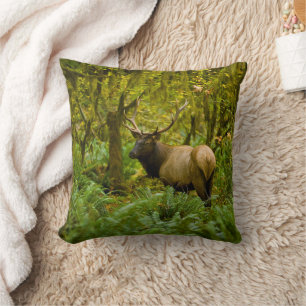 Stier Roosevelt-eland Kussen