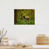 Stier Roosevelt-eland Poster (Keuken)