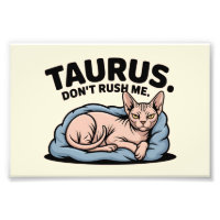 Stier Sphynx Kat Zodiac Houding Kunst