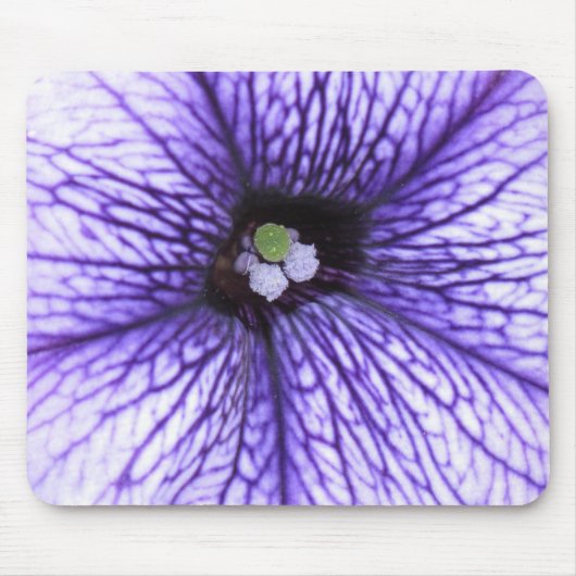 stigma muismat (Voorkant)