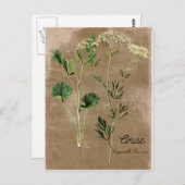 stijl Anise Herb Briefkaart (Voorkant / Achterkant)