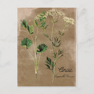  stijl Anise Herb Briefkaart