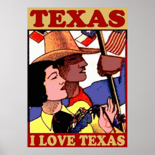 stijl I Love Texas Poster
