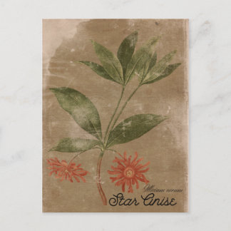  stijl Star Anis Herb Briefkaart