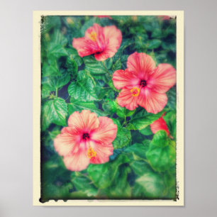  stijl Tropische Hibiscus Flowers Poster