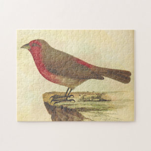 Stijl, Vogel die op een Rand staan Legpuzzel