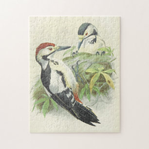 stijl vogelbeschrijving puzzel