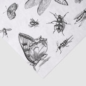 Stijl zwart-wit Insect Collage, Pt 1 Tissuepapier (Detail)