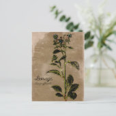  stijlpagina Borage Herb Briefkaart (Staand voorkant)