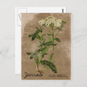  stijlpijl-Briefkaart Briefkaart (Voorkant / Achterkant)