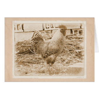 stijlrooster foto