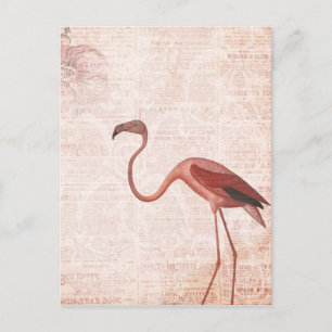  Stijlroze flamingo Briefkaart