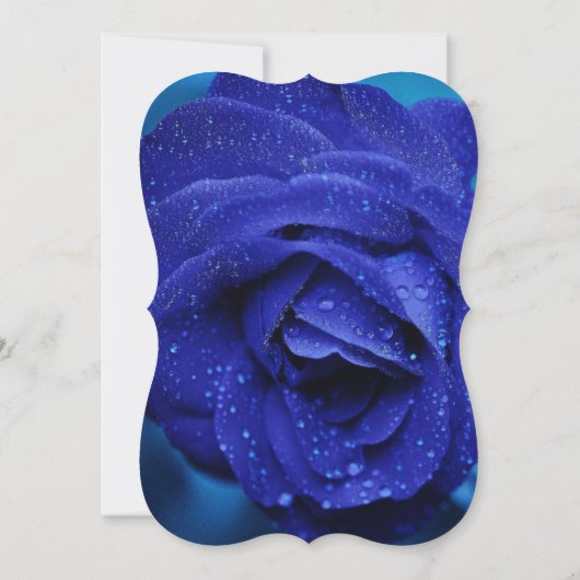 Stijlvol blauw Roos Verloving Kaart (Achterkant)