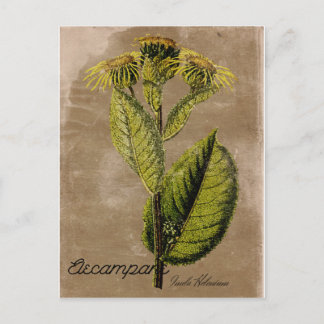  Stijlvol Briefkaart