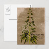 Stijlvol Briefkaart (Voorkant / Achterkant)