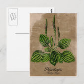 Stijlvol Briefkaart (Voorkant / Achterkant)