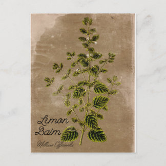  stijlvol Lemon Balm Briefkaart