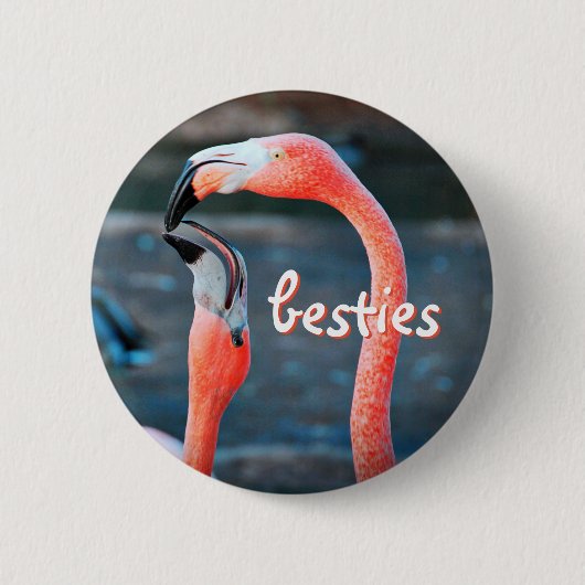 Stijlvol modern roze flamingos Photo Besties Scrip Ronde Button 5,7 Cm (Voorkant)