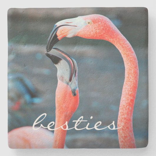 Stijlvol modern roze flamingos Photo Besties Scrip Stenen Onderzetter (Voorkant)