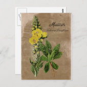 Stijlvol Mullein-Briefkaart Briefkaart (Voorkant / Achterkant)