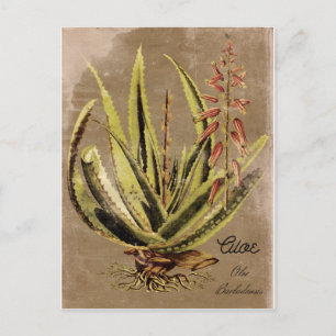 Stijlvol Plant Briefkaart