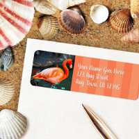 Stijlvol roze flamingo, aangepast scriptadres
