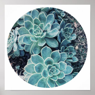 Stijlvolle Bleekgroene Cactus Succulent Poster