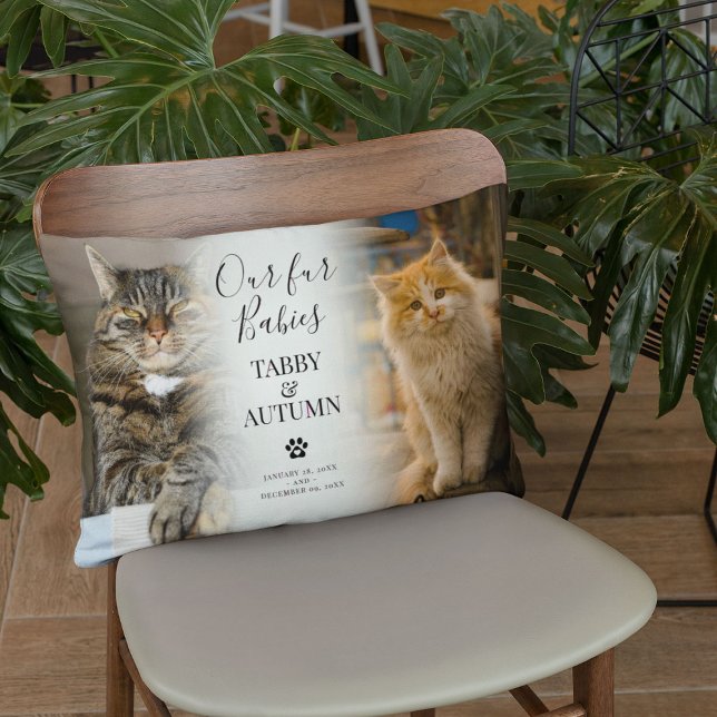 Stijlvolle Chique Kat Memorial 2 x Foto Huisdier K Kussen (Creator heeft geüpload)